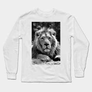 Asiatic Lion Panthera Leo Persica Big Cat Male Long Sleeve T-Shirt